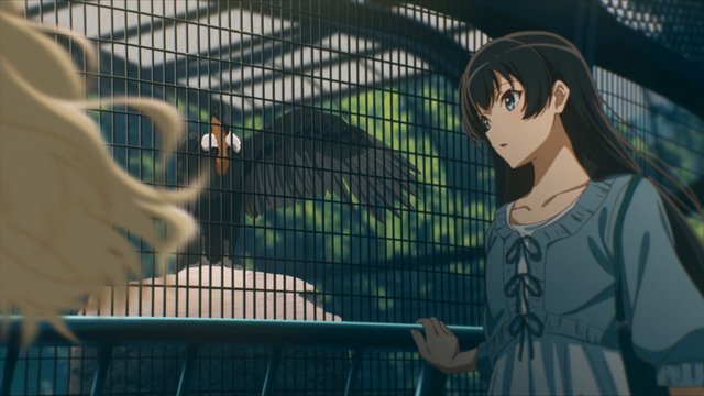 Nogeyama Zoo Condor Enclosure